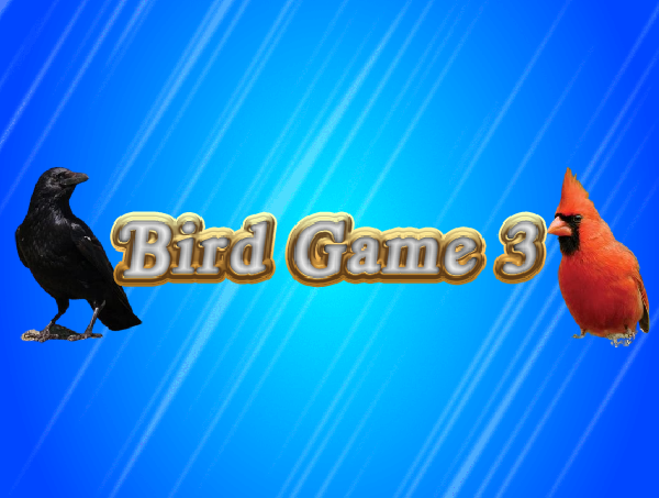Bird Game 3 Preview