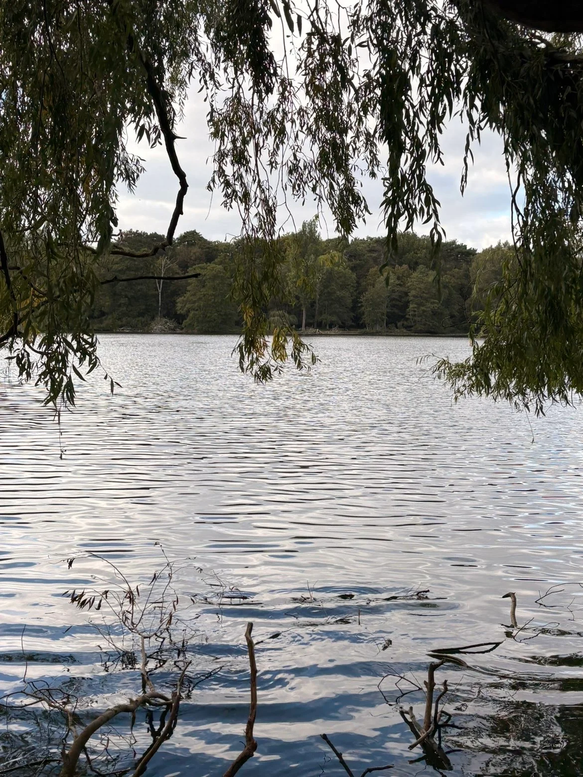 Between the Lines Preview