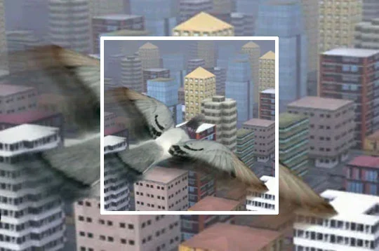 Fly Like a bird 3 Preview